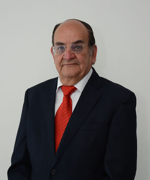 Auditor Financiero