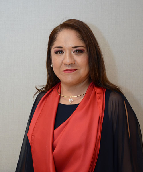 Luz María López Flores - Sector Gobierno
